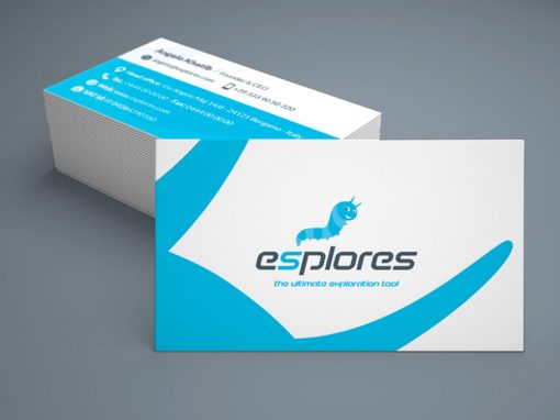 Design logo e biglietti da visita Esplores